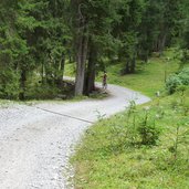 dolomiti di brenta bike tra campo carlo magno e dimaro