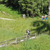 sentiero da passo costalunga a moena bike e escursionisti