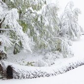 Will Beckers Attraversare l'anima Ph Giacomo Bianchi Copyright Arte Sella