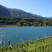 AT PeerRS C lago di santa massenza
