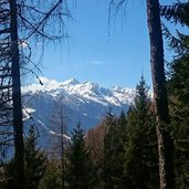 scorcio di cima Serodoli in Val di Sole