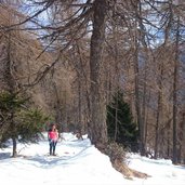 ultimi metri di salita nel bosco verso Malga Bolentina Alta