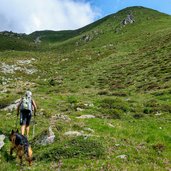 prati sopra Malga Cortinga e vista della Val di Rabbi