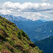 rododendri presso pass dell om