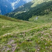 Vista di Malga Mondent e Malga Cortinga