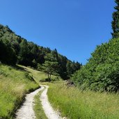 ledro prati di malga vil