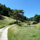 ledro prati di malga vil