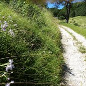 ledro prati di malga vil