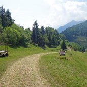 strada forestale passo buole area pic nic