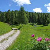 km dei forti strada per forte dosso delle somme peonie