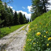 percorso km dei forti salita per dosso delle somme