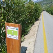 pista ciclabile torbole arco