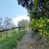 percorso sul monte brione