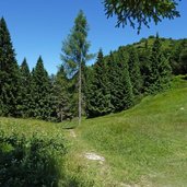 sentieri a passo pra della rosa verso ledro