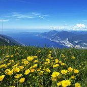 prato in fioritura sul monte baldo con lago di garda