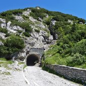 tremalzo zona protetta foresta gardesana occidentale