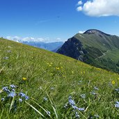 monte altissimo di nago