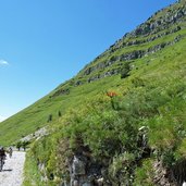 sentiero presso passo tremalzo mountain bike