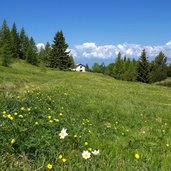 prati di monte spil e sentiero B primavera