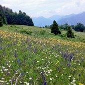 prato sopra luserna