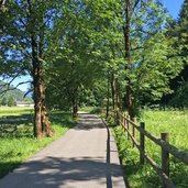 percorso pista ciclabile valle di ledro presso bezzecca