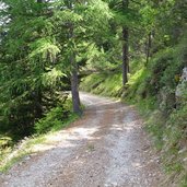 sentiero da malga zocchi a pozza rionda