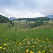 prati presso rifugio lancia e malga pozze