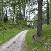 sentiero strada del pasubio