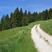 sentiero da passo sommo a rifugio paradiso