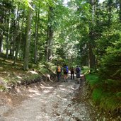 sentiero da passo sommo a rifugio paradiso