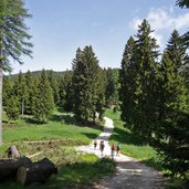 sentiero da passo sommo a rifugio paradiso