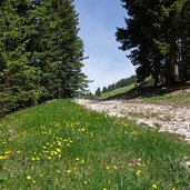 sentiero da passo sommo a rifugio paradiso n