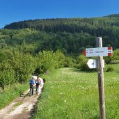 escursionisti sul sentiero per il monte stivo