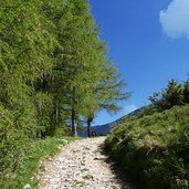 sentiero per il monte stivo