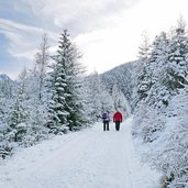 sentiero val sen nicolo inverno