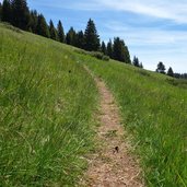 sentiero per monte cornetto