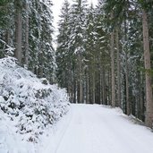 sentiero val sen nicolo inverno