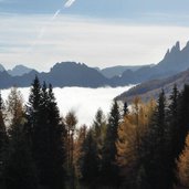 sopra le nebbie di passo san pellegrino autunno