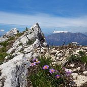 sentiero per monte cornetto