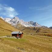 autunno prati presso garghele passo s pellegrino