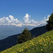 prati fioriti del monte stivo e vista verso adamello