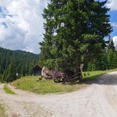 strada forestale malga castrin bivio preda del gal