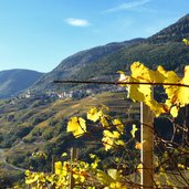 vista su faver da sentiero piazzo