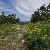 sentiero sentiero gentilini da monte cornetto a passo sommo