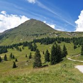 strada forestale malga castrin pra del signor