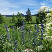 vista verso malghe del sommo e campo da golf