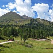 kornigl und hofmahdwiesen bei aleralm fr