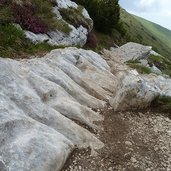 sentiero discesa dal monte stivo n