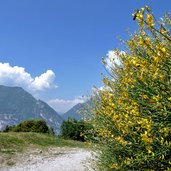 strada forestale