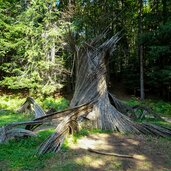 sentiero respiro degli alberi lavarone scultura